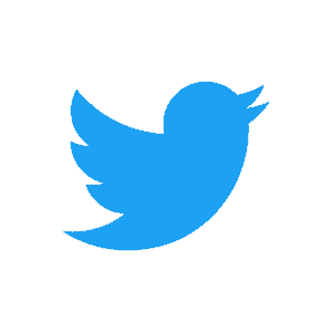 Twitter Logo Blue bird